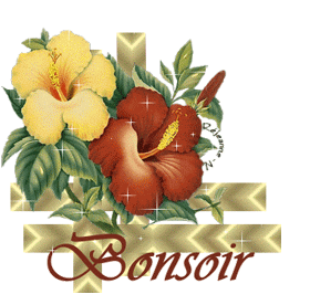 Gif animé bonsoir fleurs